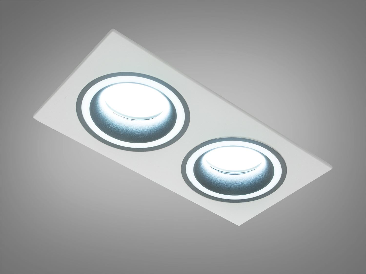 Цей здвоєний точковий світильник виготовлений з алюмінію представляє собою втілення стилю та функціональності, які пропонує нова серія від ТМ 