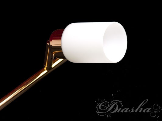 Спот (Настенно-потолочный светильник)